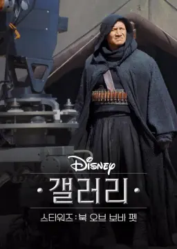 디즈니 갤러리 / 스타워즈: 북 오브 보바 펫