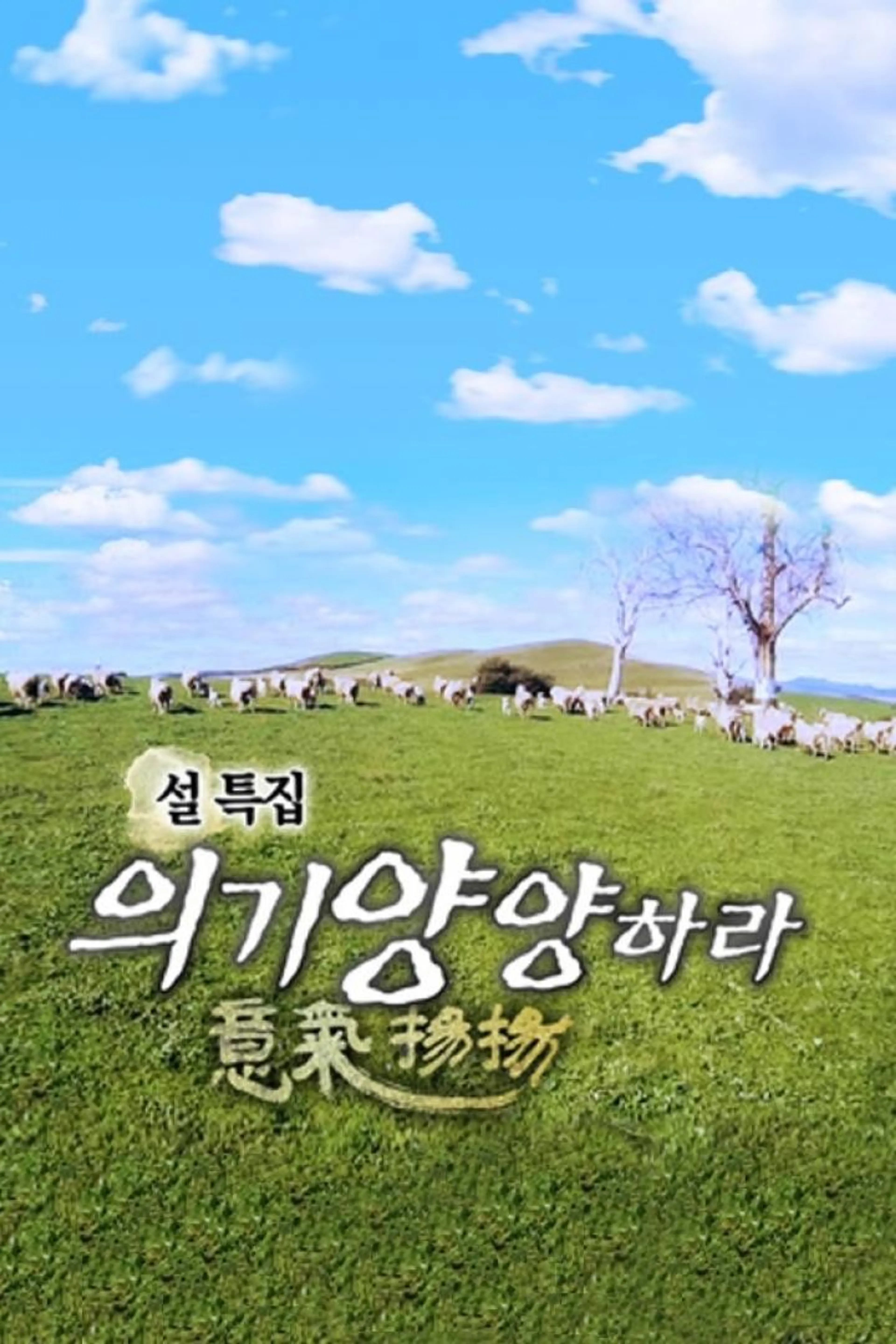 설 특집 의기양양하라
