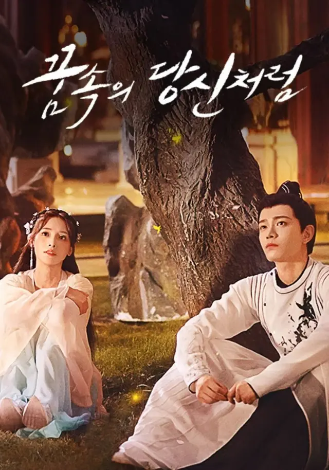 꿈속의 당신처럼