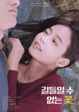 길들일 수 없는 꽃