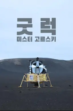 굿 럭 미스터 고르스키