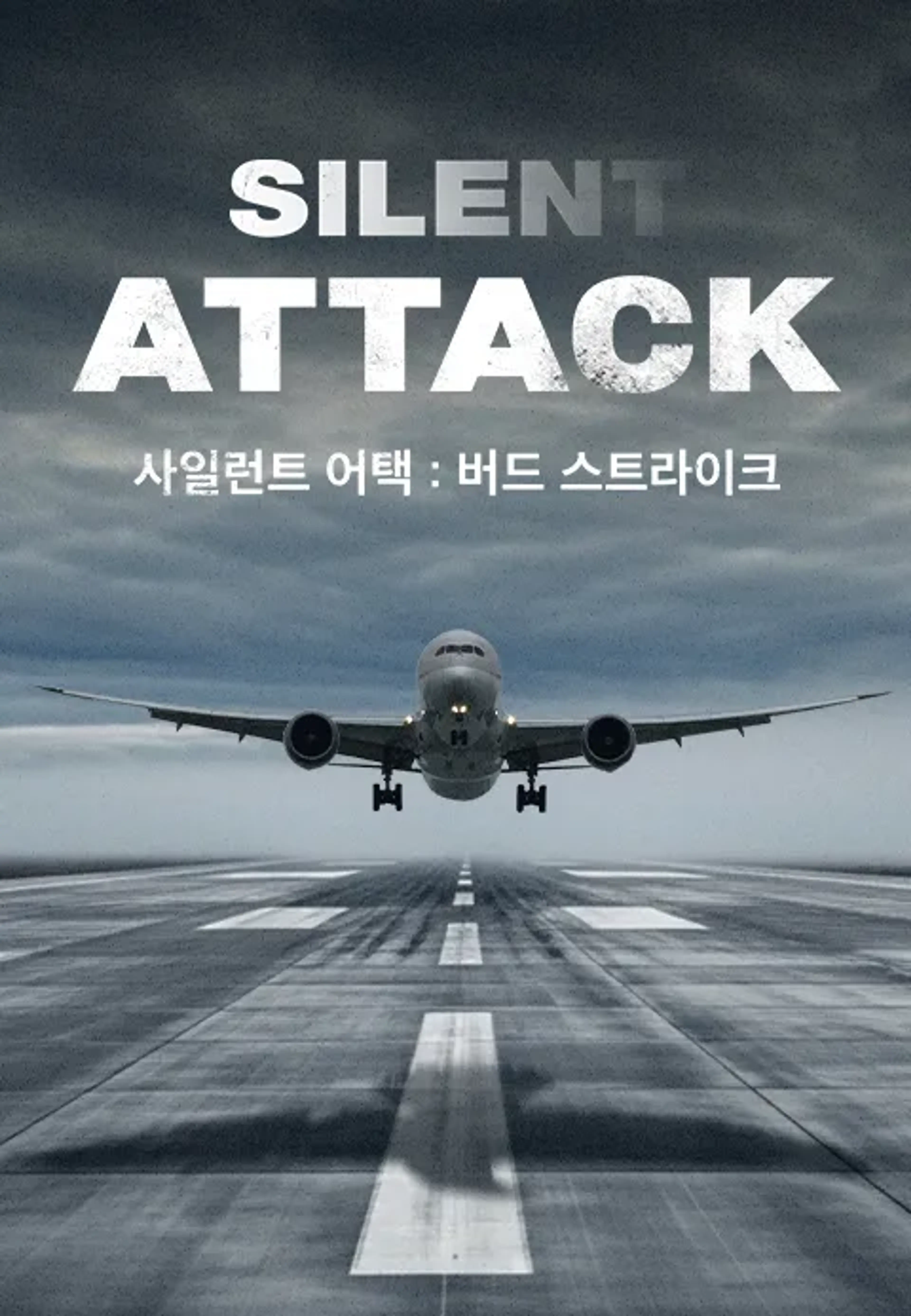 사일런트 어택: 버드 스트라이크