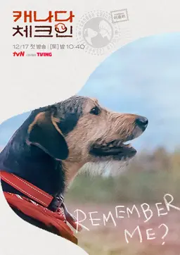 캐나다 체크인