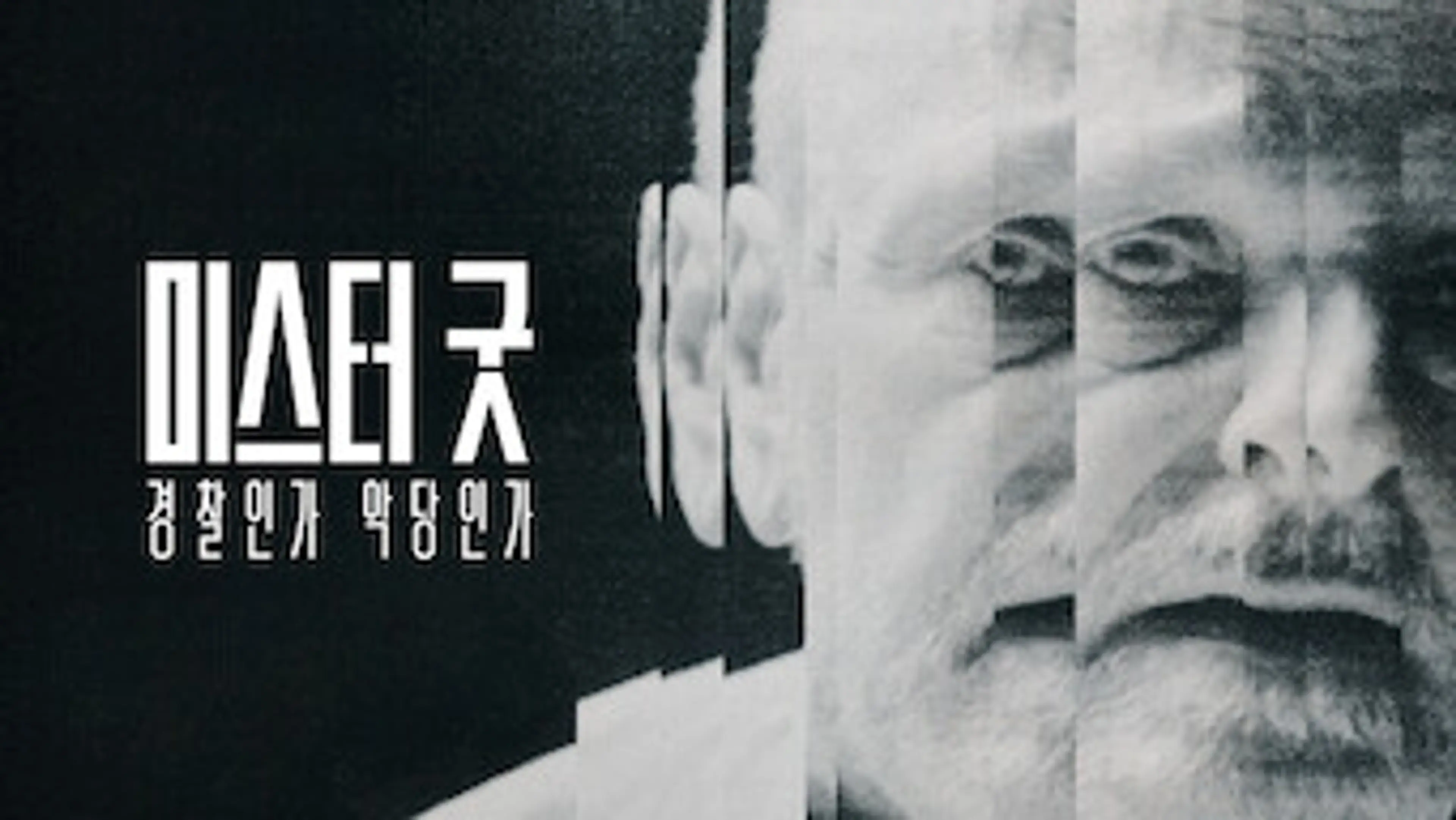 미스터 굿: 경찰인가 악당인가