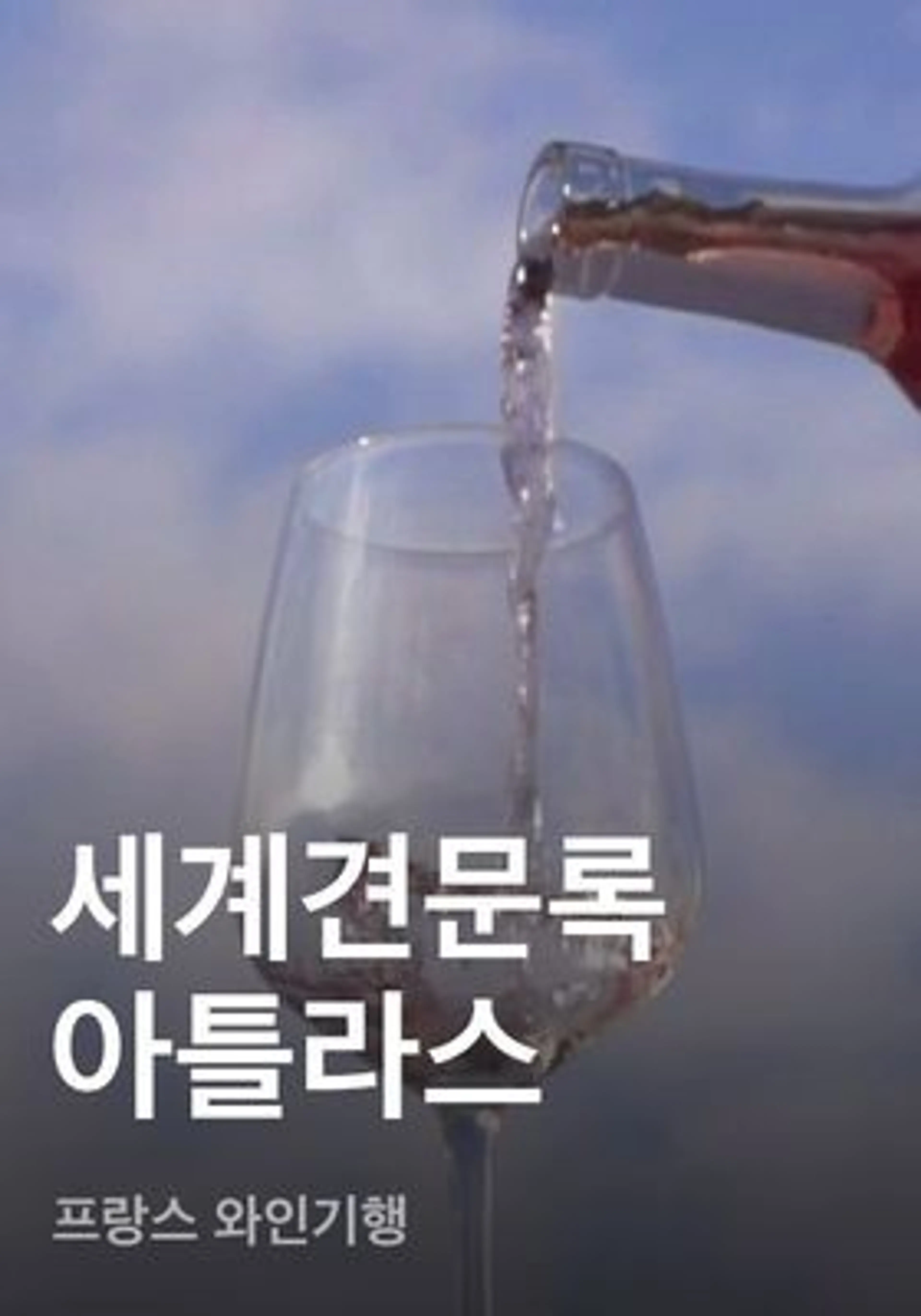 세계견문록 아틀라스 - 프랑스 와인기행