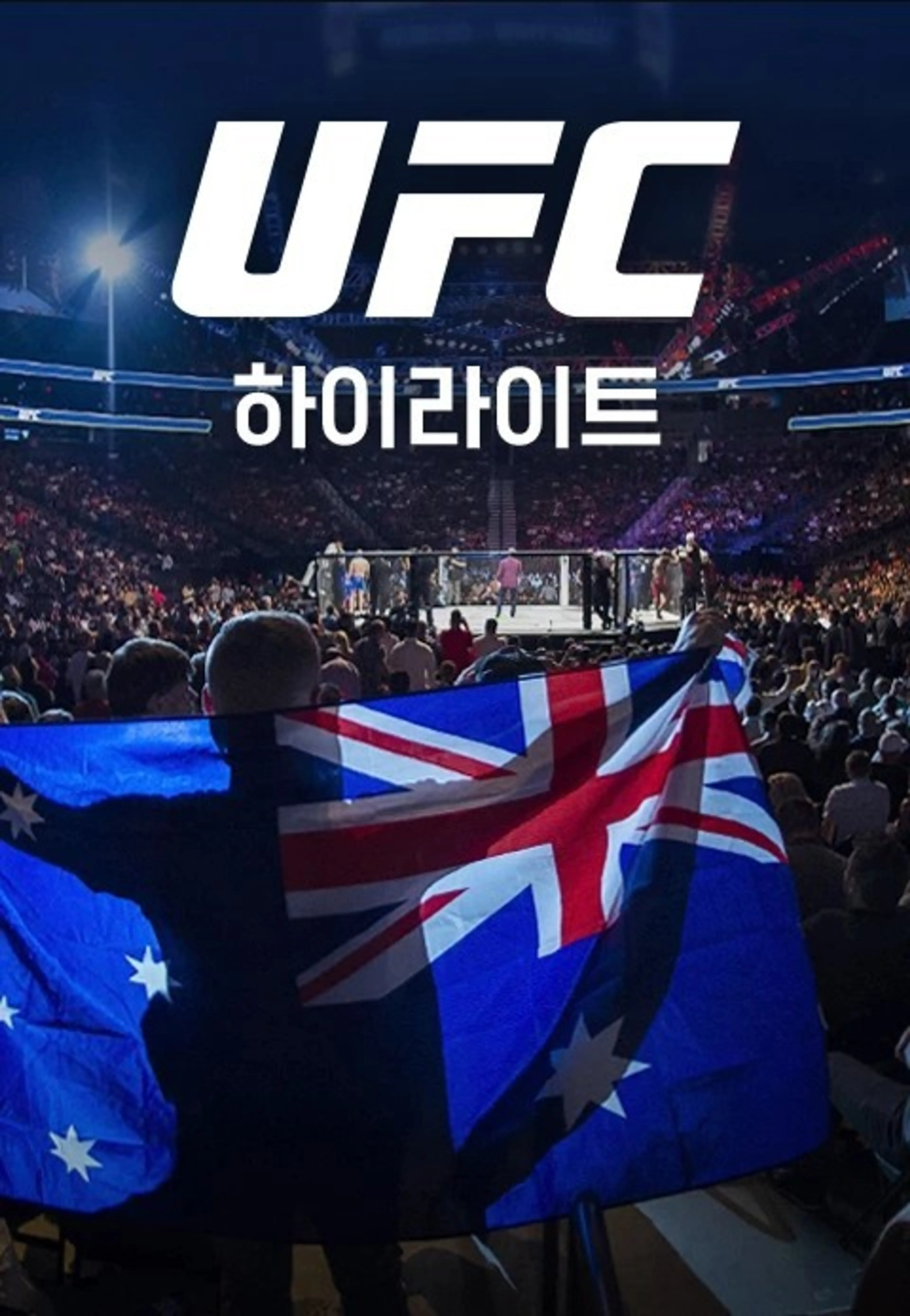 UFC 하이라이트