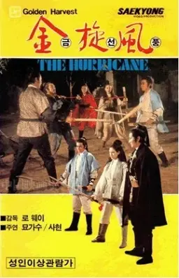 금선풍