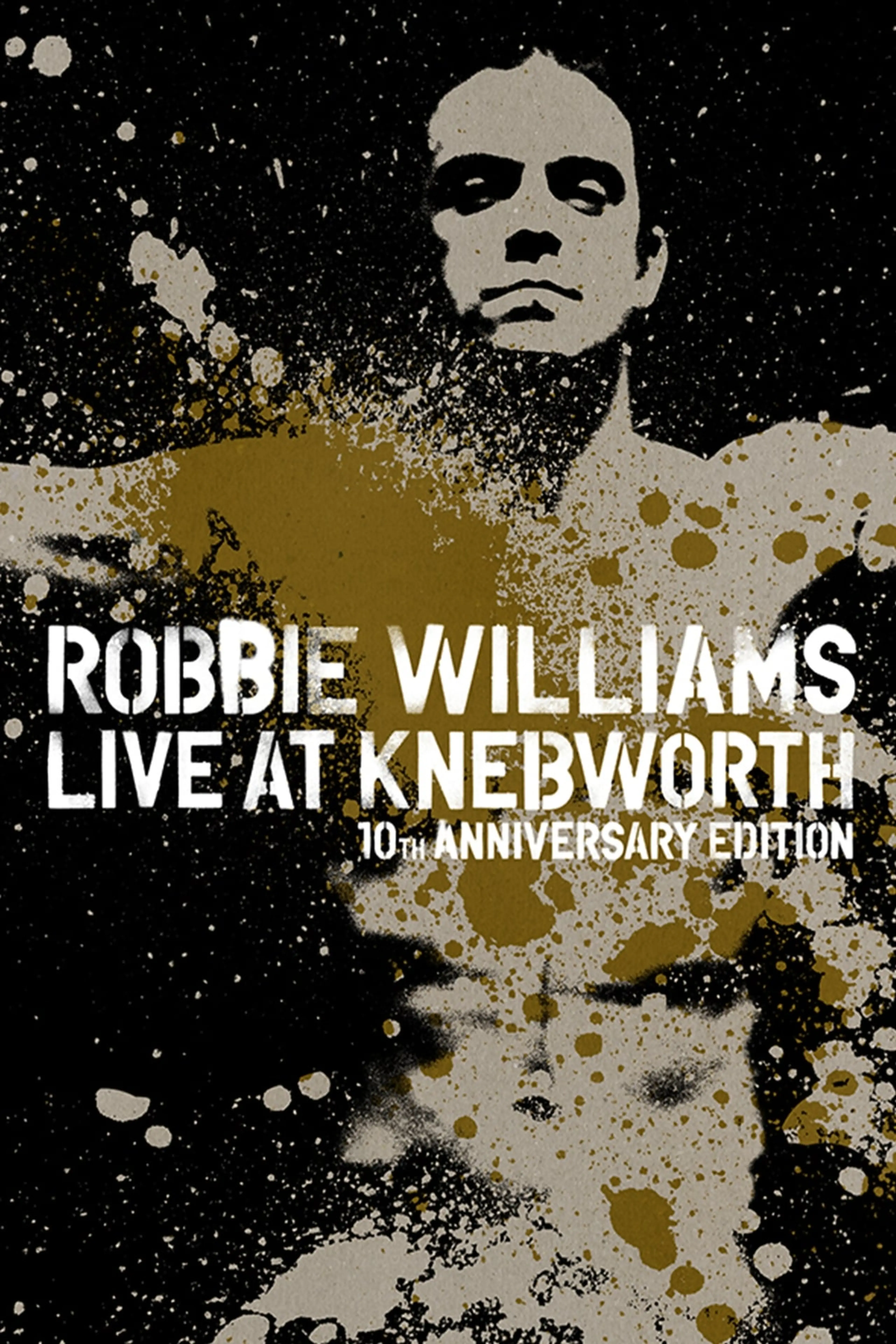 Robbie Williams Live at Knebworth