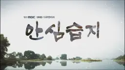 안심습지