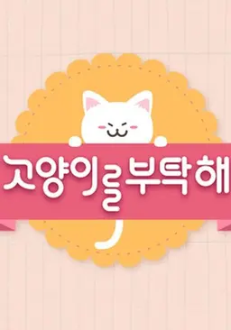 고양이를 부탁해 시즌 6