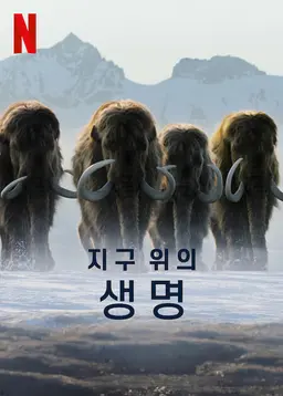 지구 위의 생명