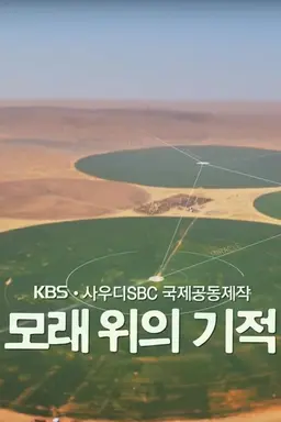 KBS-사우디SBC 국제공동제작 모래위의 기적