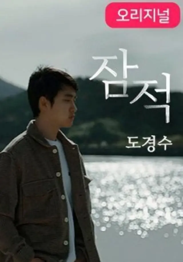 잠적 : 도경수