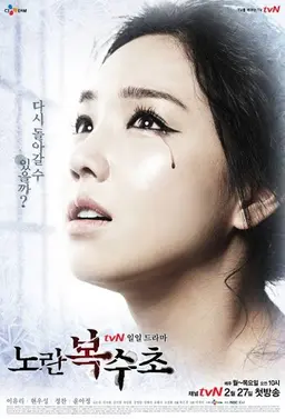 노란 복수초