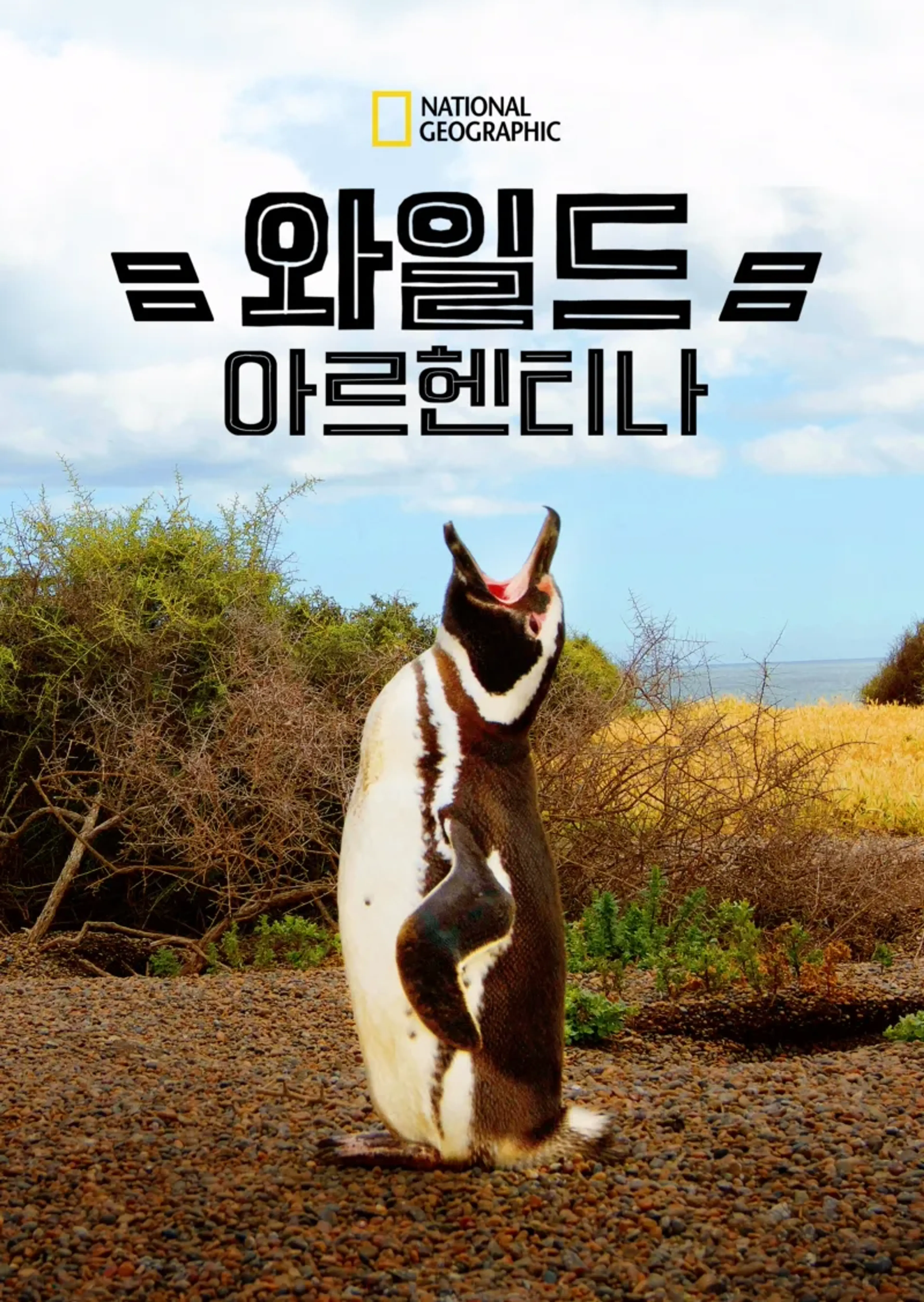 와일드 아르헨티나