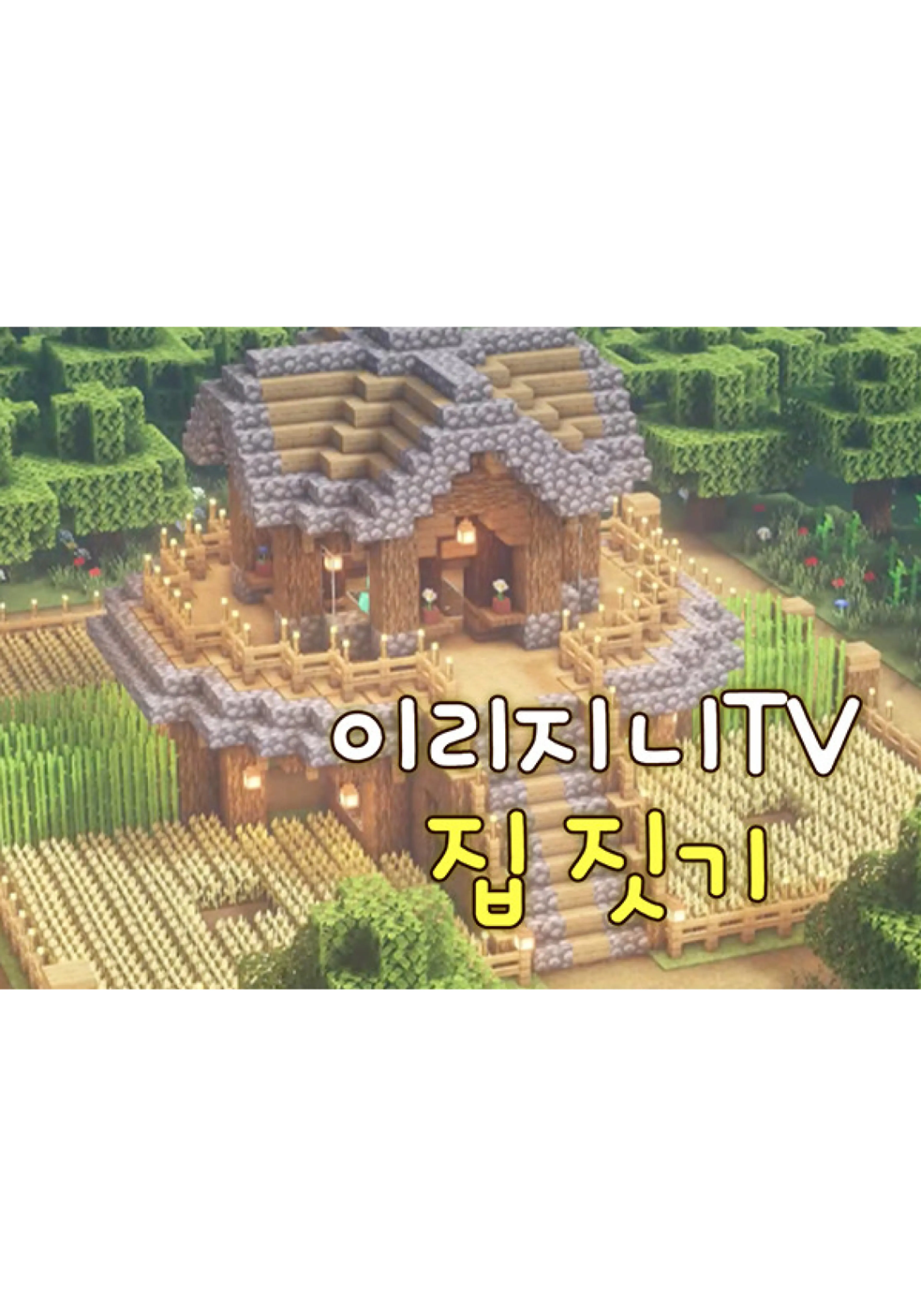 이리지니TV 집짓기