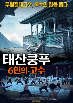 태산쿵푸: 6인의 고수