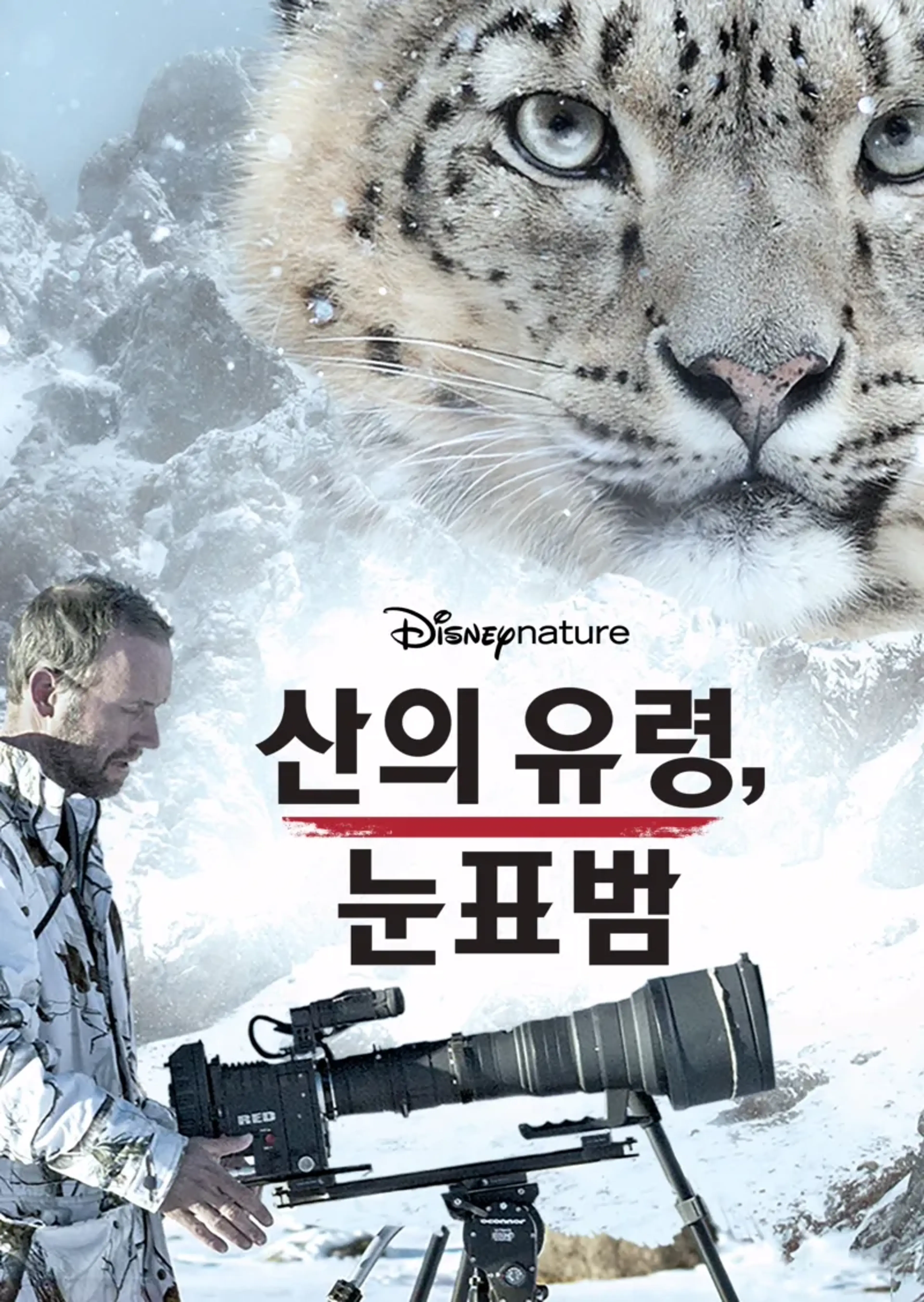 산의 유령, 눈표범