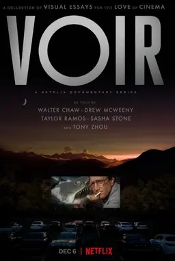 영화, 보기의 미학