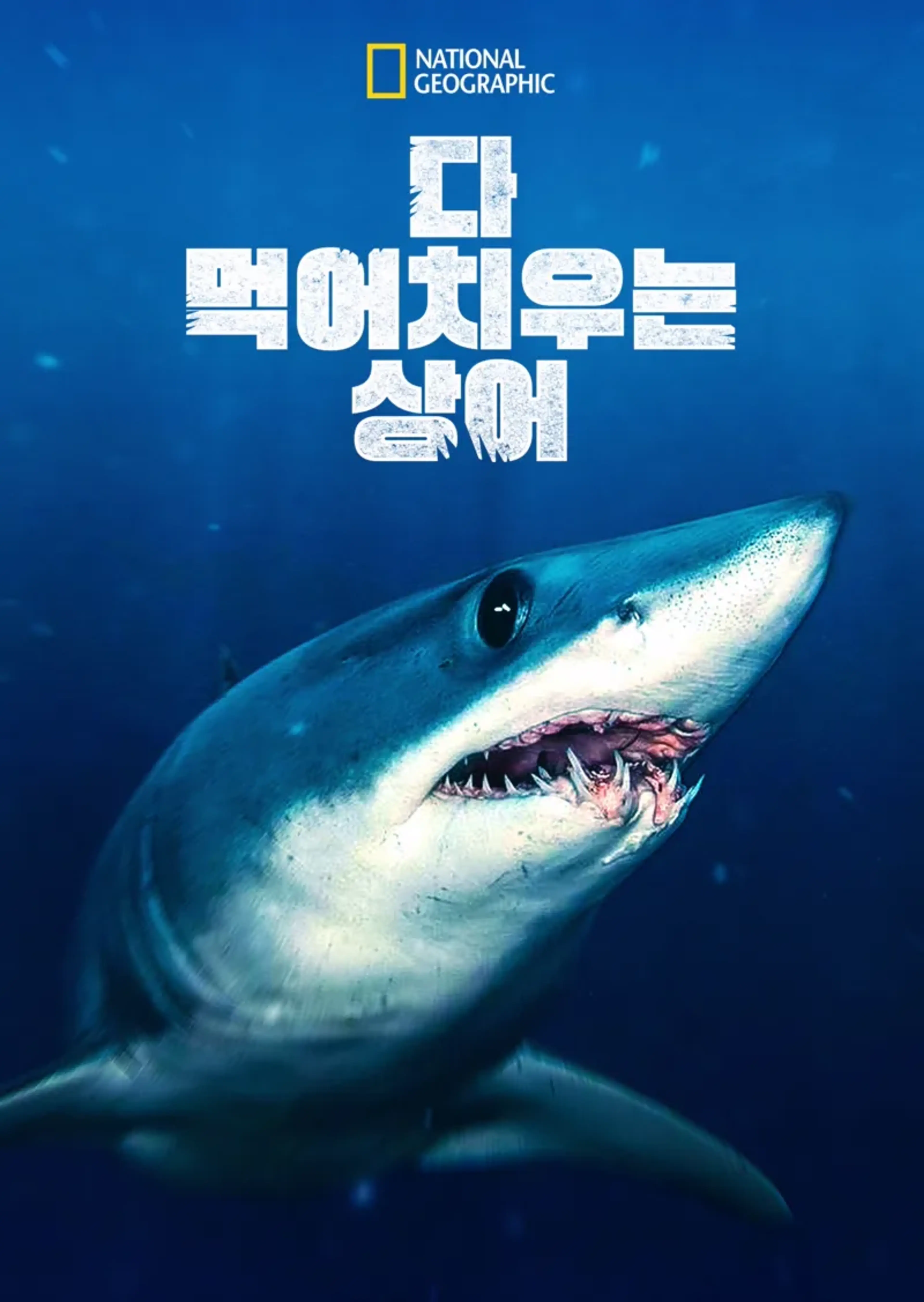 다 먹어치우는 상어