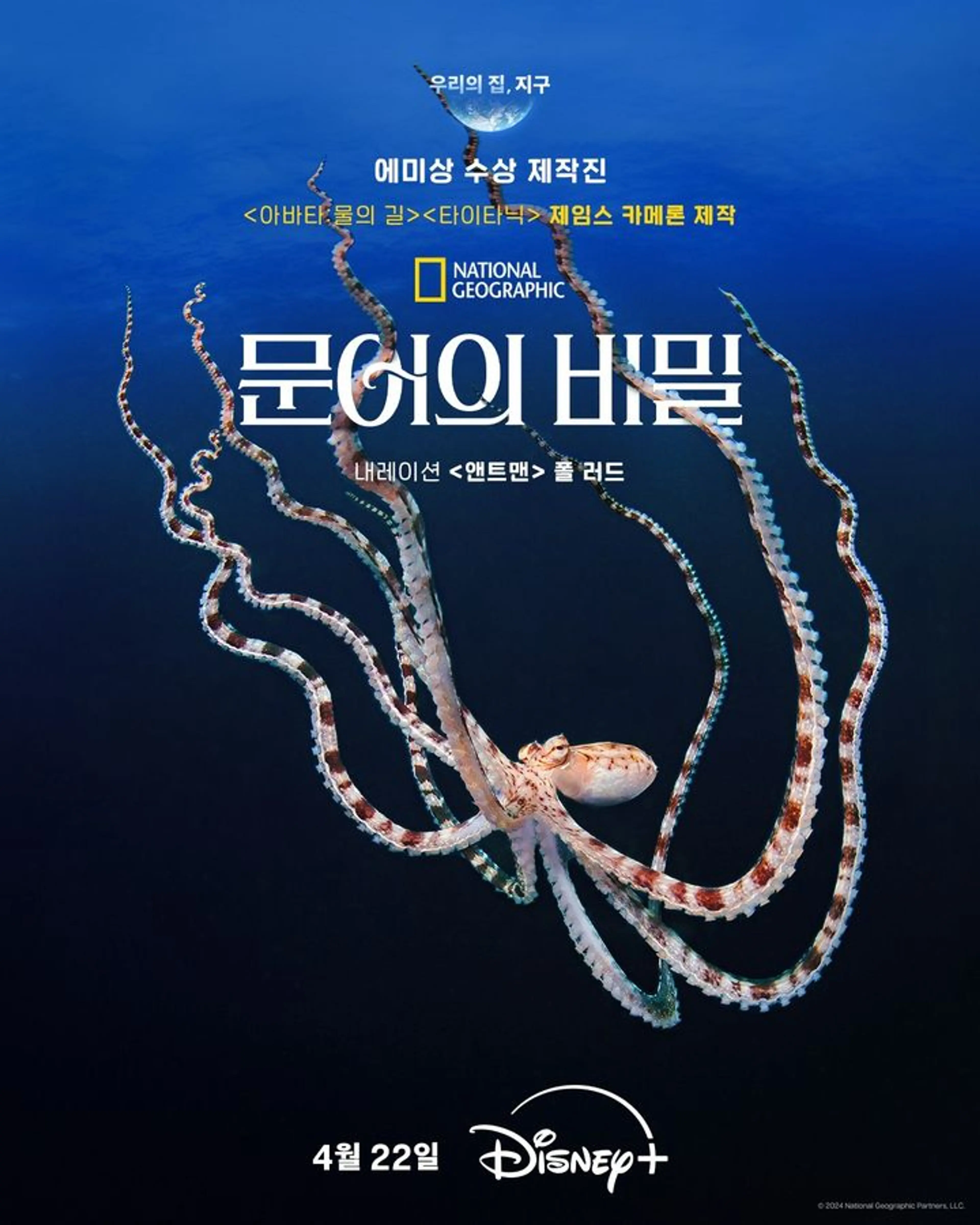 문어의 비밀 시즌1