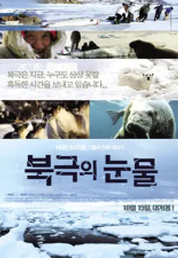 북극의 눈물