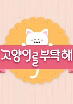 고양이를 부탁해 시즌 4
