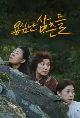 용심난 삼춘들