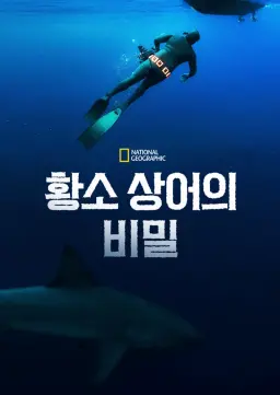 황소 상어의 비밀