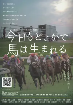 오늘도 어디선가 말은 태어난다