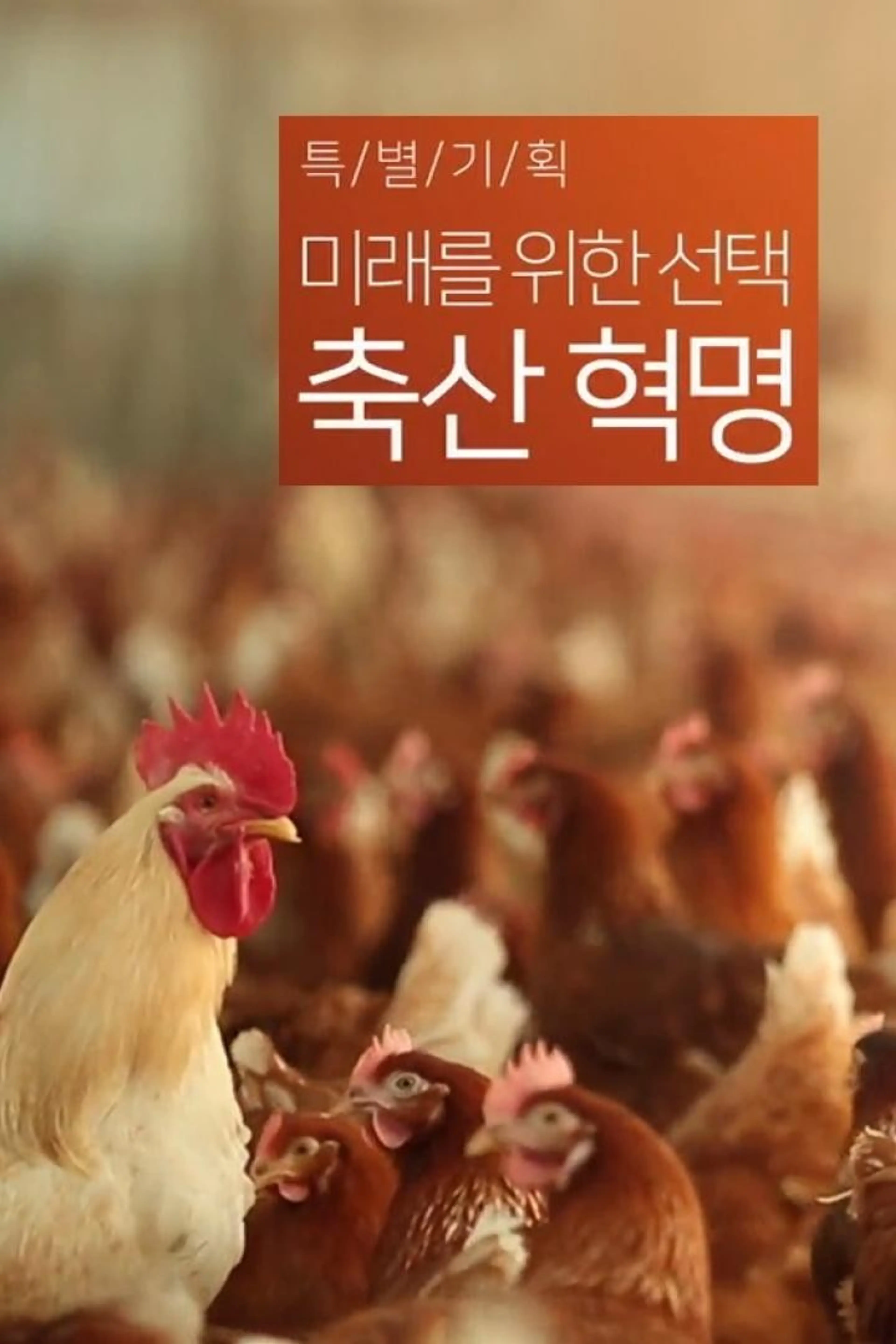 미래를 위한 선택, 축산 혁명