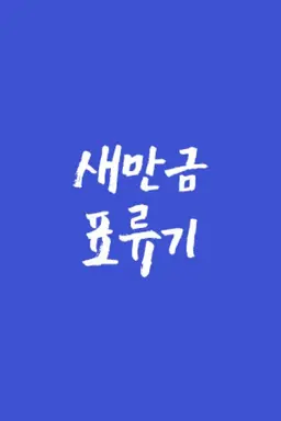 새만금 표류기