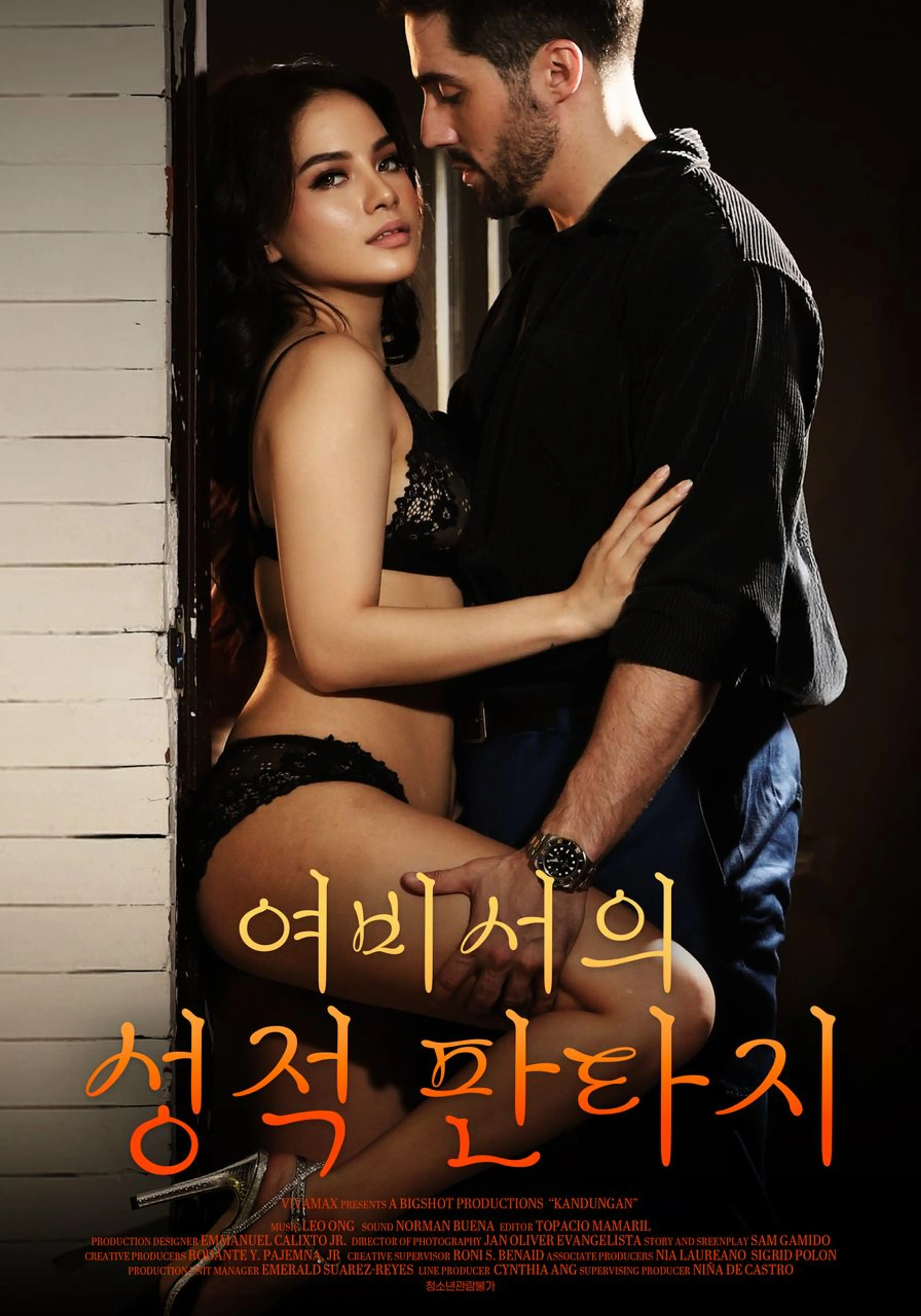 여비서의 성적 판타지