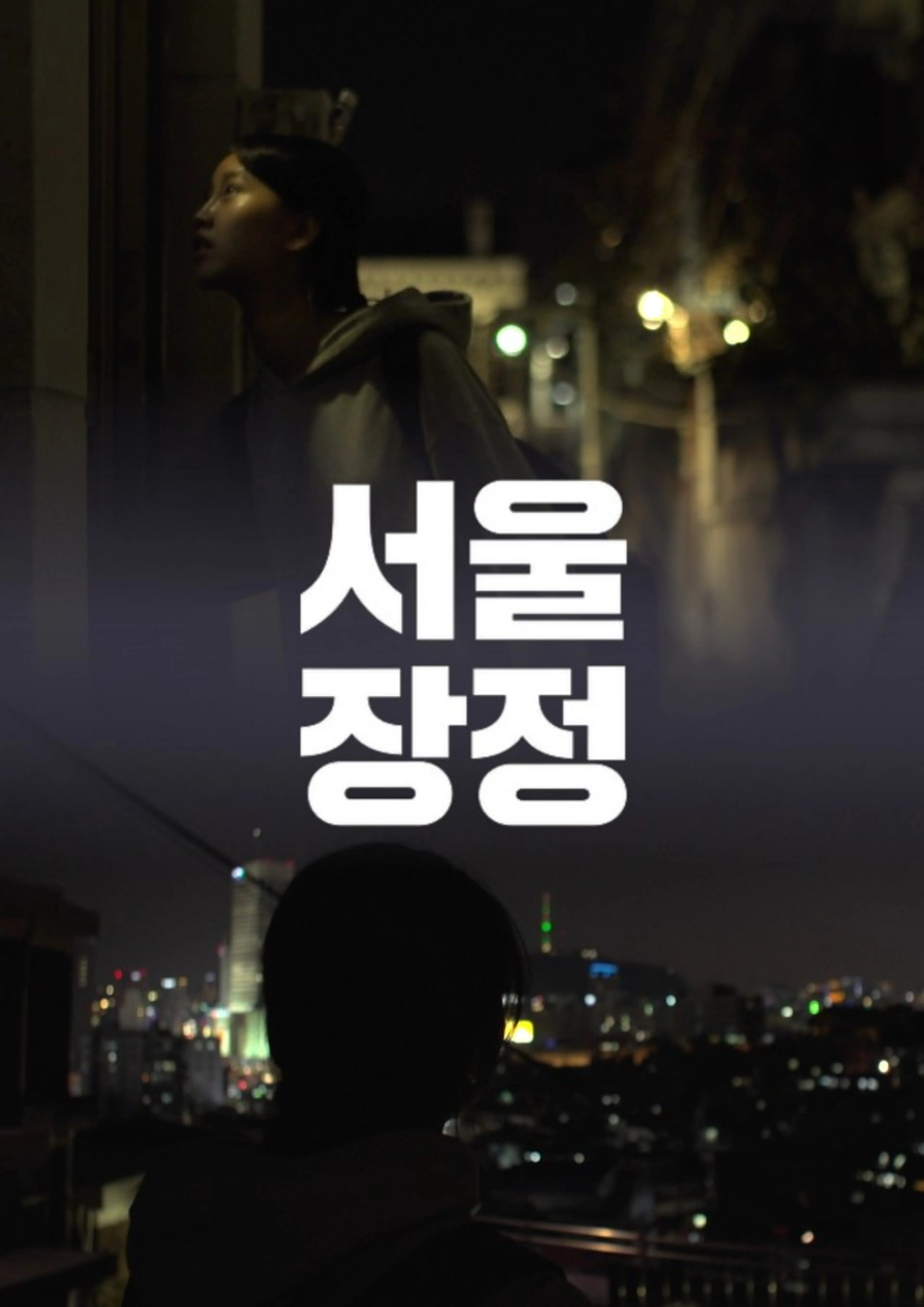 서울장정
