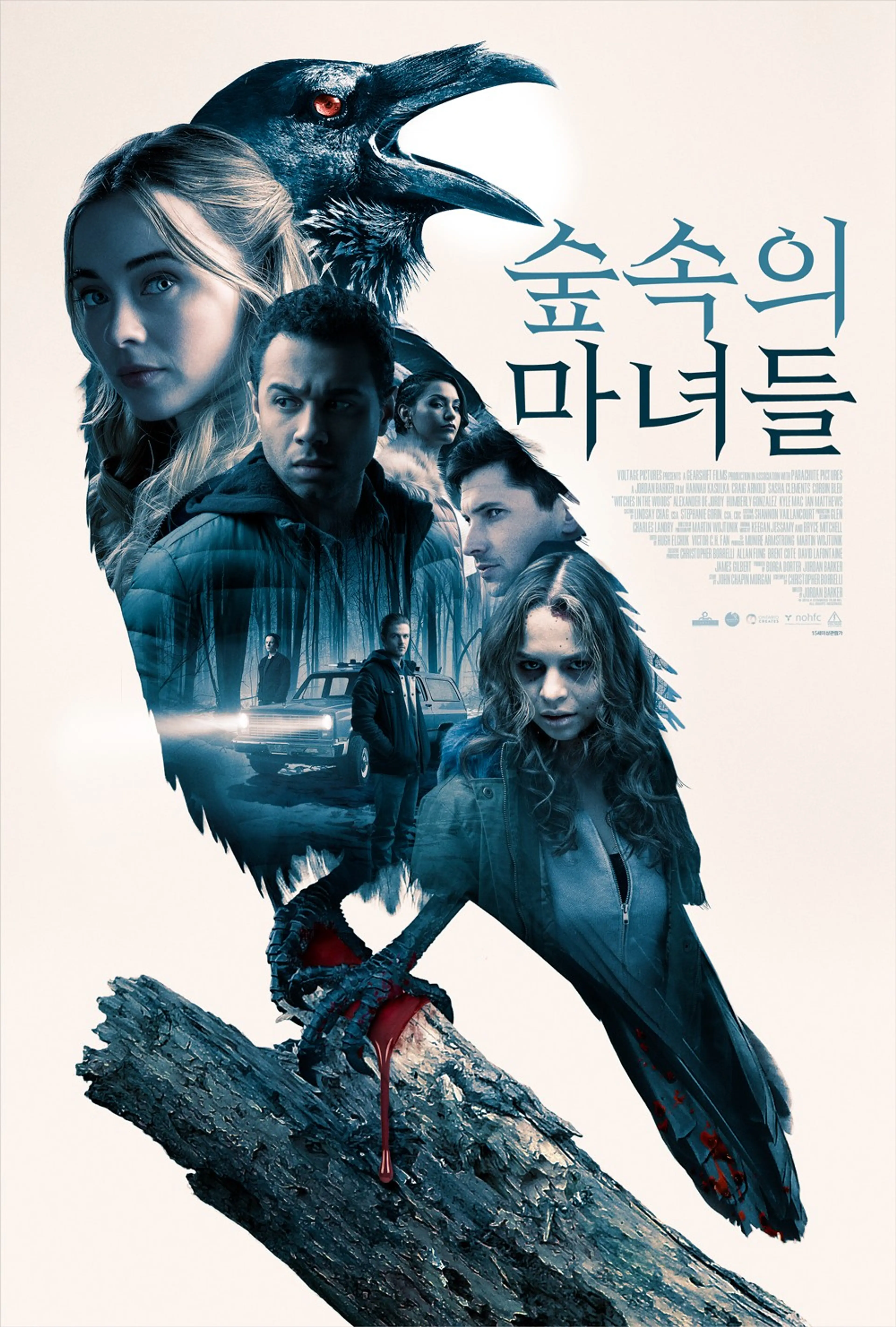 숲속의 마녀들