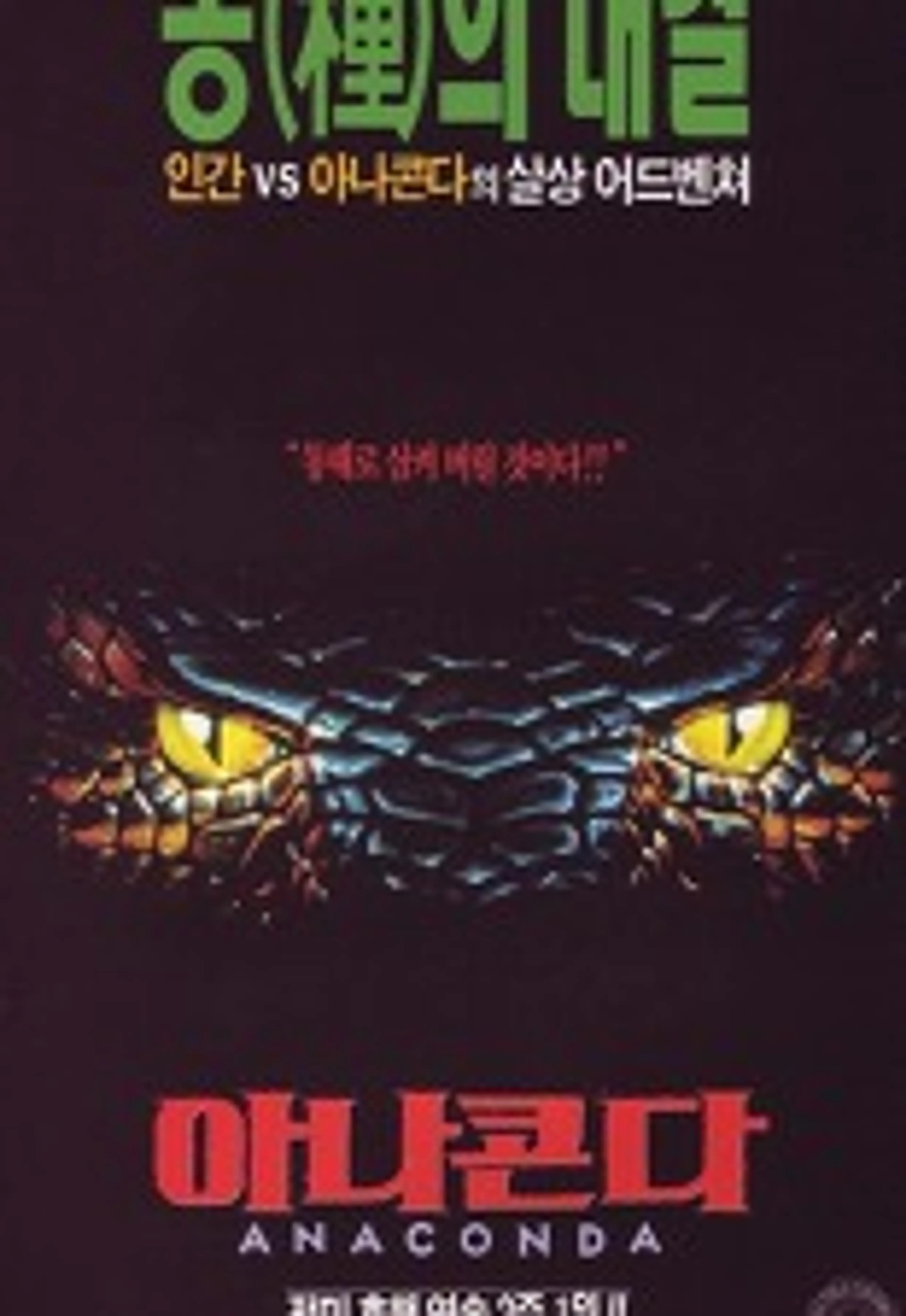 아나콘다