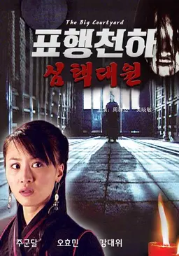 표행천하 : 심택대원