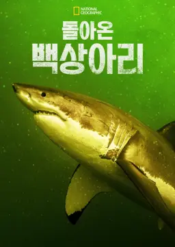 돌아온 백상아리