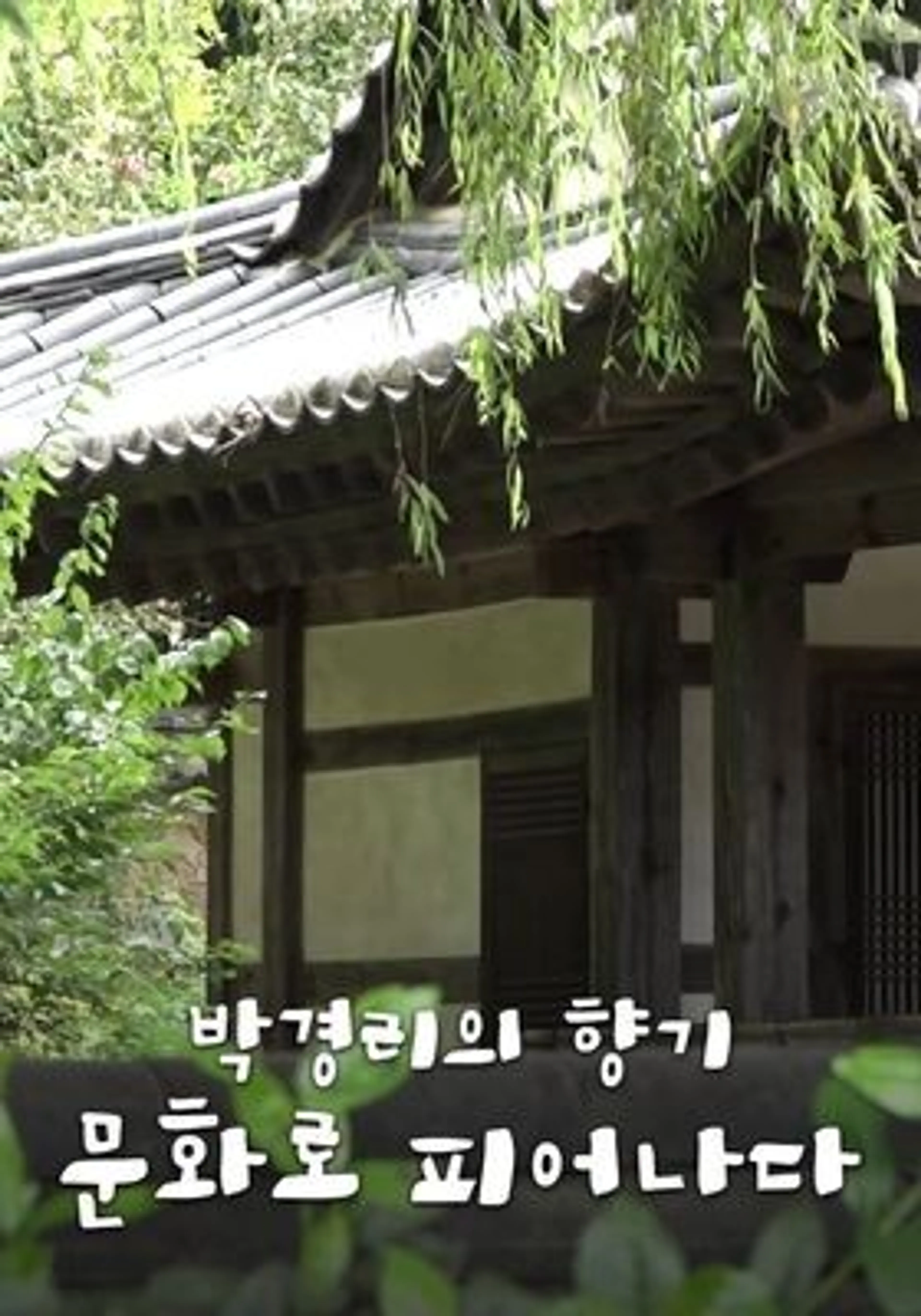 박경리의 향기 문화로 피어나다