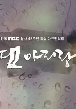 댐 아리랑