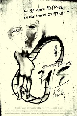궤도
