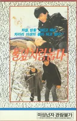풀잎처럼 눕다