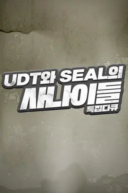 UDT와 SEAL의 사나이들, 수영으로 독도를 가다