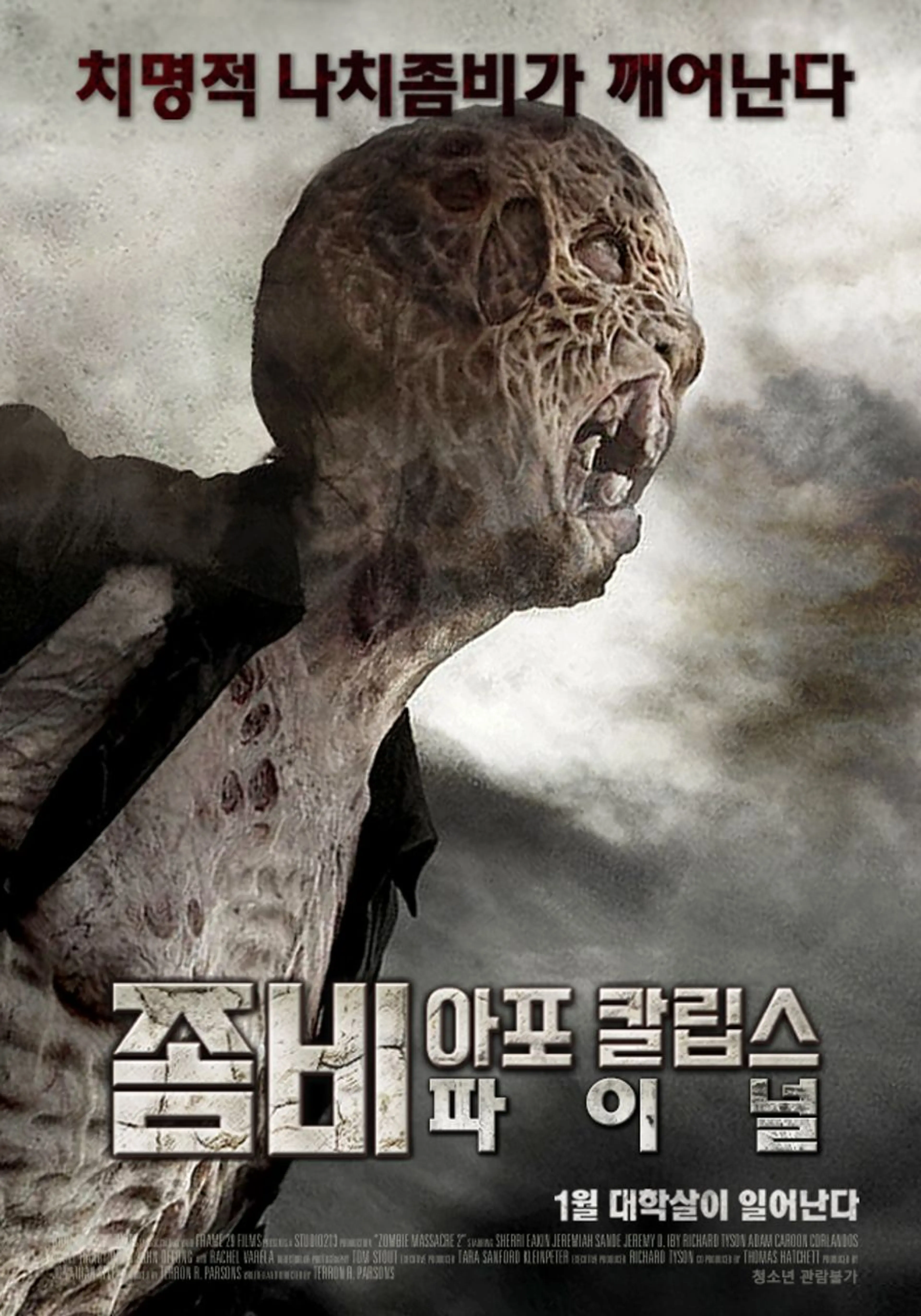 좀비아포칼립스:파이널