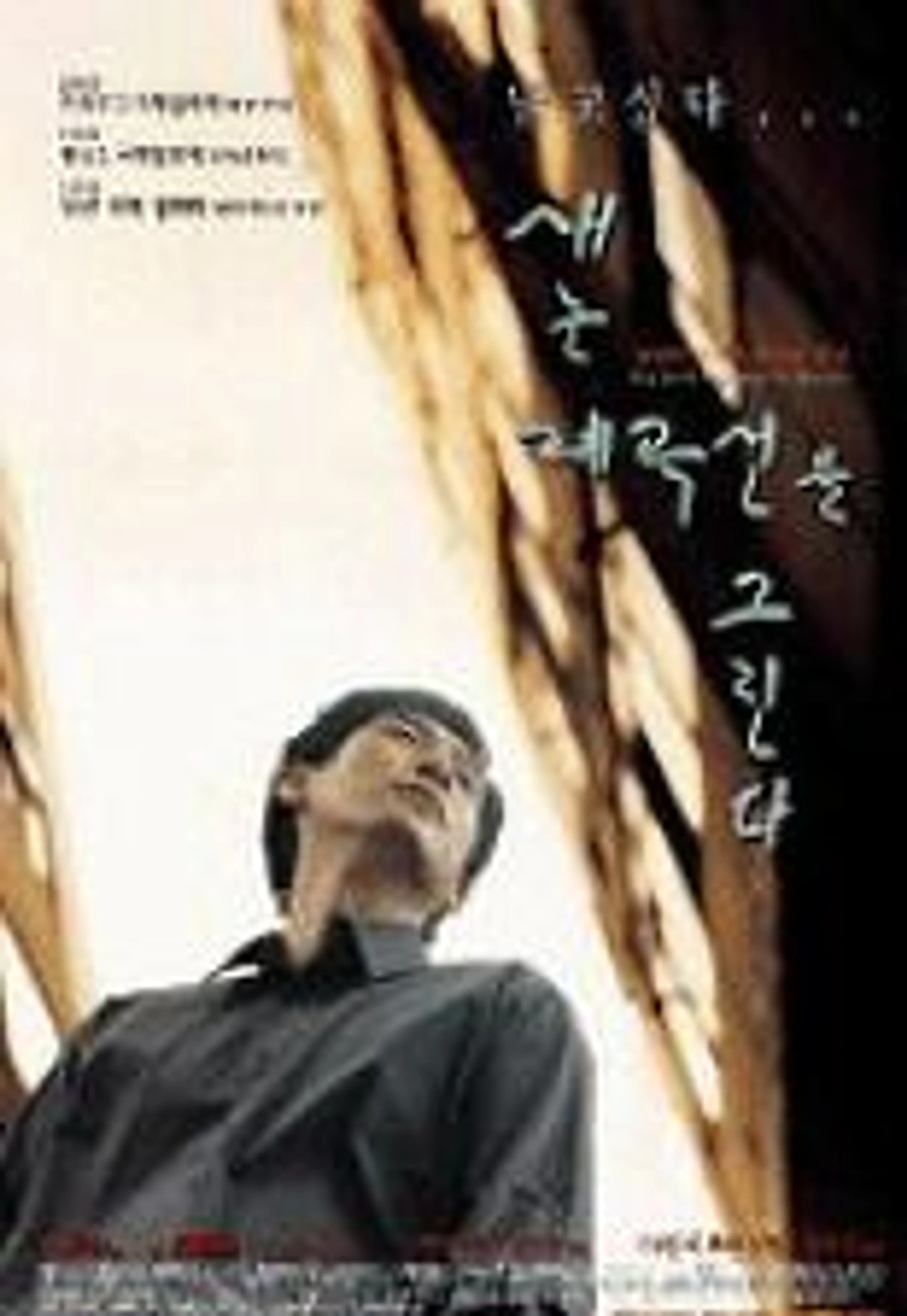 새는 폐곡선을 그린다