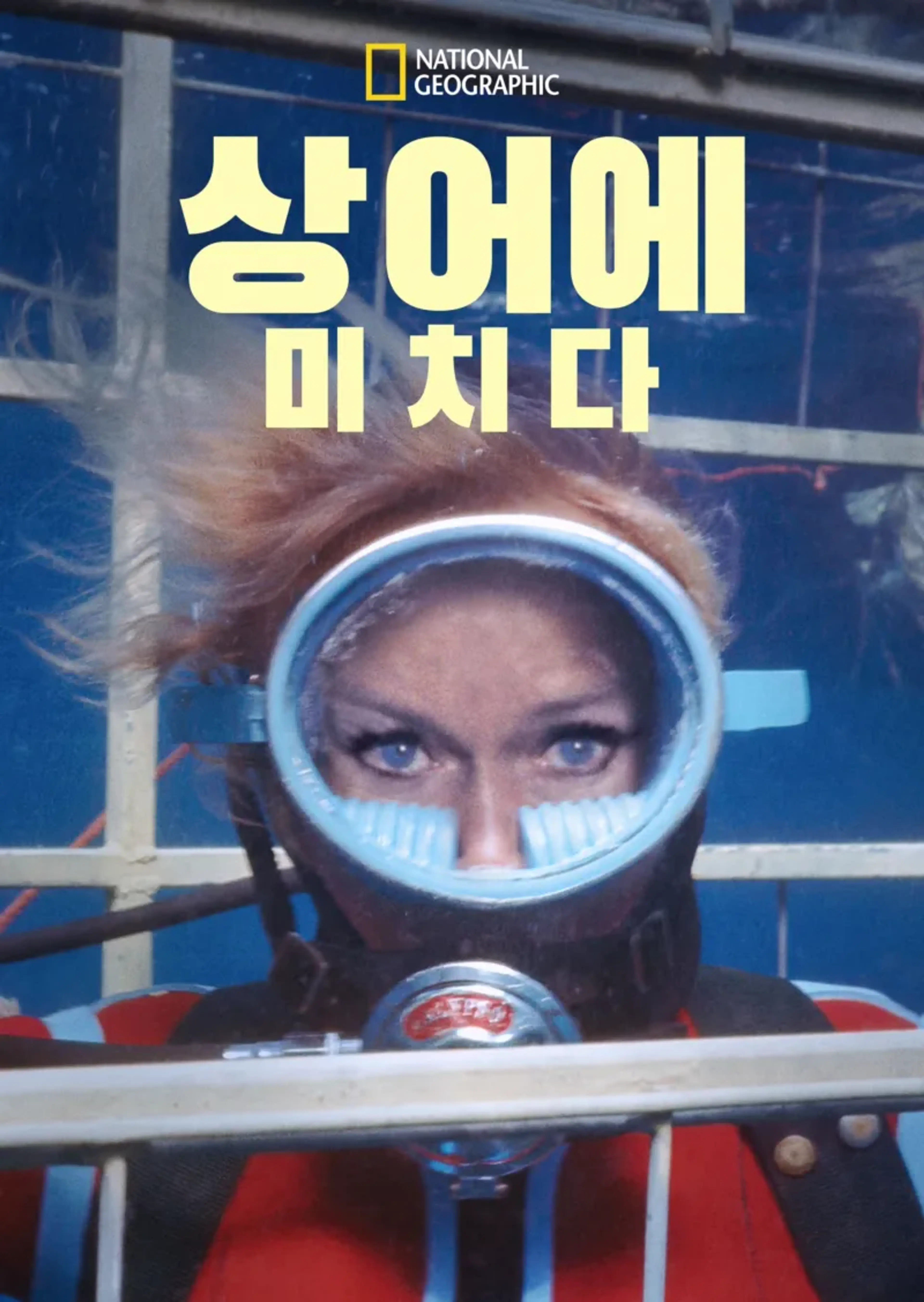상어에 미치다