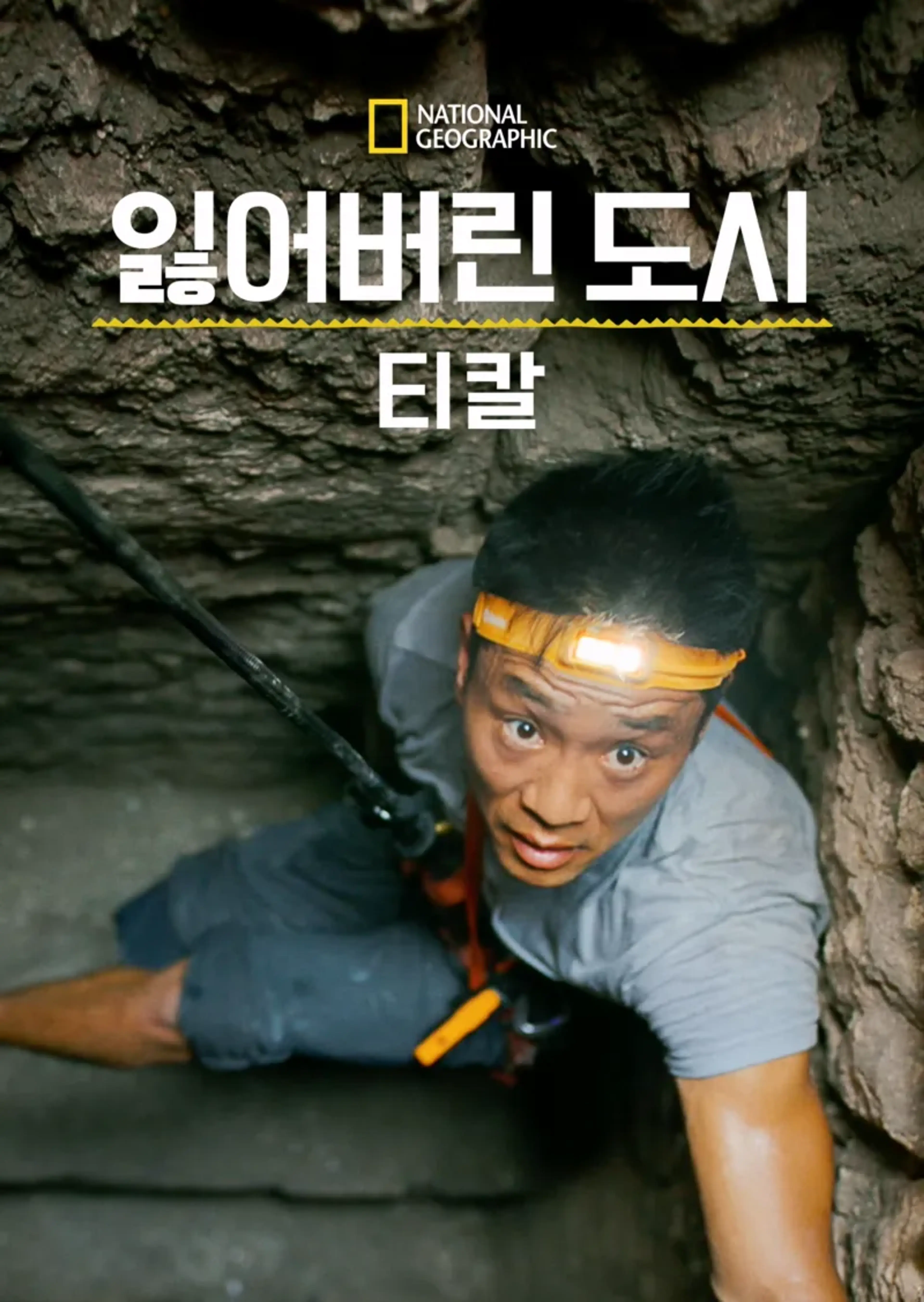 잃어버린 도시: 티칼