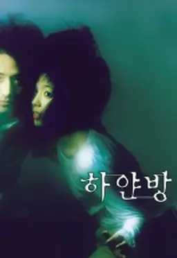 하얀 방