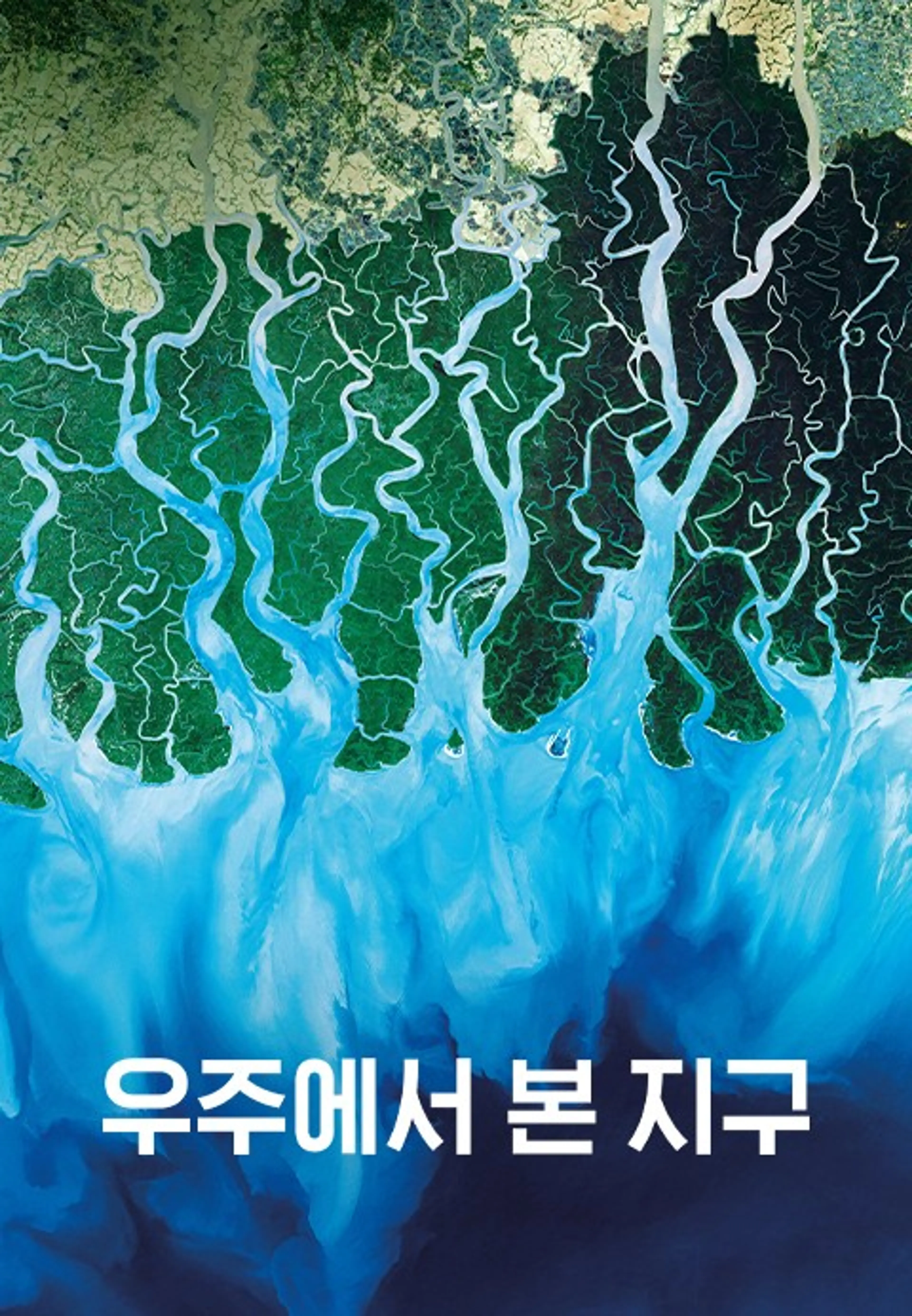 우주에서 본 지구