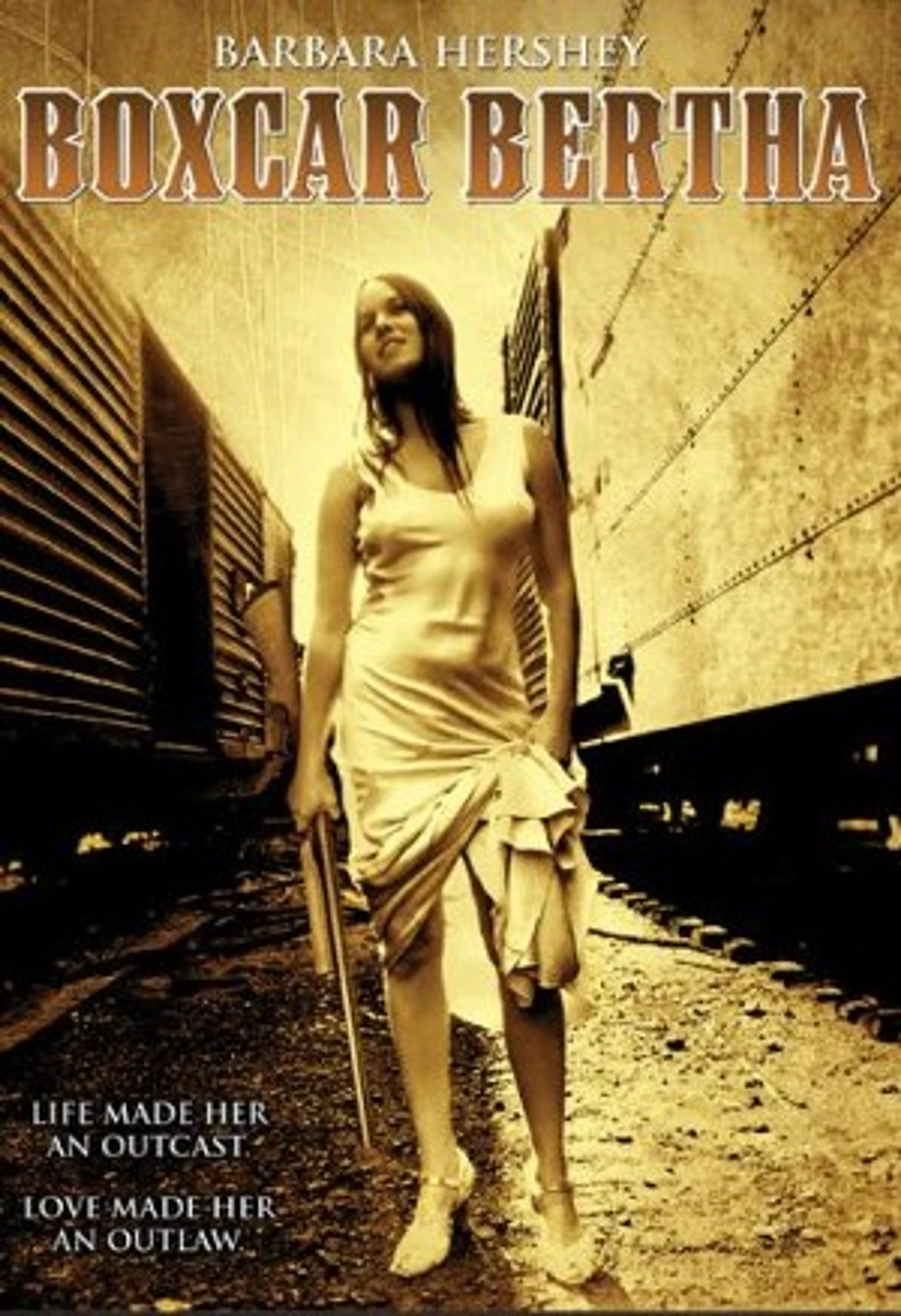 바바라 허쉬의 공황 시대